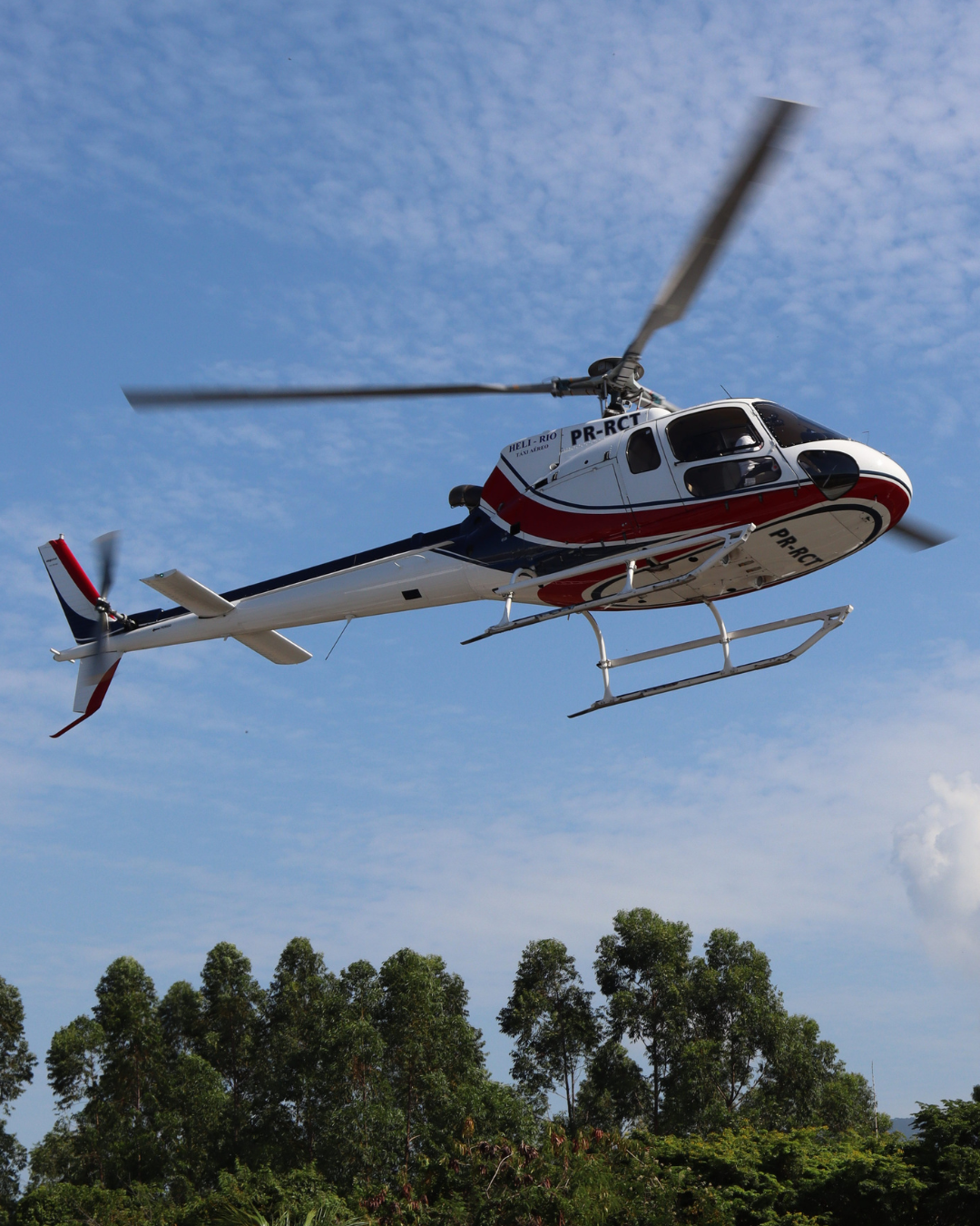 Design sem nome (11)